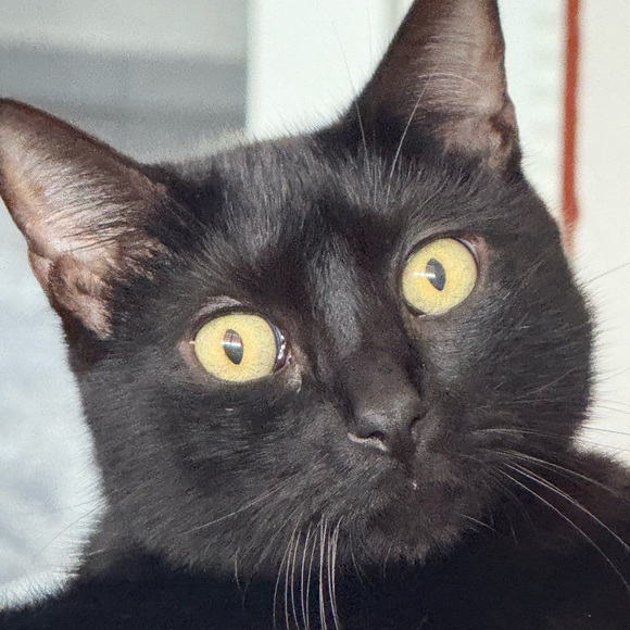 im laura! ๐ฝ๐๐ช - Picture 1 of 1